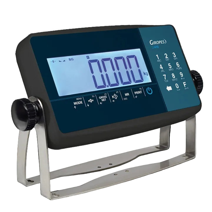 Auswertegerät GI410 LCD
